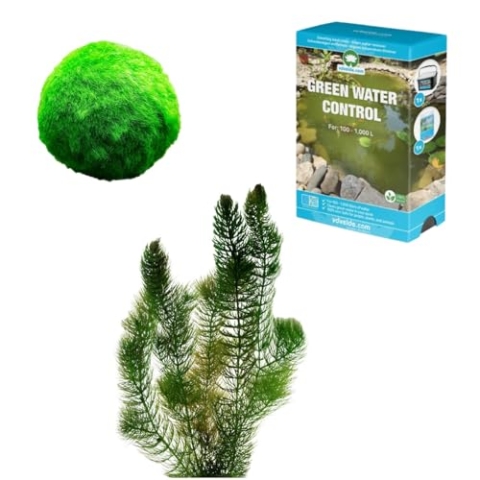 vdvelde.com - Teich Klar Machen und Halten Paket - S - 100-400 L - 7 Pflanzen für 100-400 L - Verhindert und bekämpft Schwebe- und Fadenalgen - Platzierung: lose im Wasser