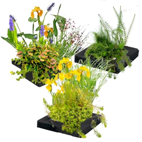 vdvelde.com - Drijvend Planteneiland Trio - 25 cm - • Filterplanten• 12 water zuiverende planten• Plaatsing: los op het water