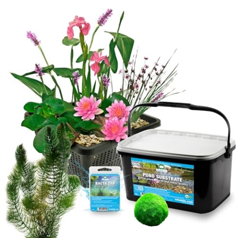 vdvelde.com - Mini Teichset Rosa - XS - 25-90 L - Für 25-90 L - Schafft einen wartungsfreien Teich - Platzierung: -10 bis -20 cm
