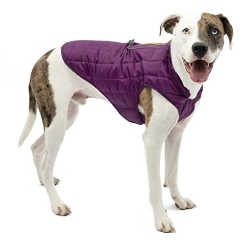 Kurgo North Country wasserdichter Hundemantel, Mit Fleece-Futter, LED-Licht für Nachtsichtbarkeit, Größe L, Grau/Lila