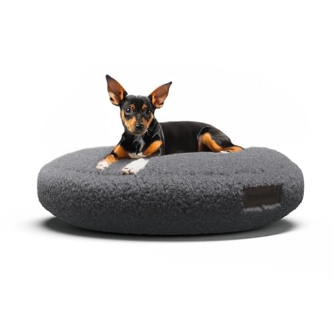 brunolie SnugNest Hundebett Rund 50 cm – Weiches Bouclé-Gewebe, rutschfeste Unterseite, Tragegriff, Waschbarer Bezug, Hochwertige Polsterung, Für Kleine Hunde, Anthrazit