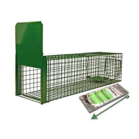 Holtaz Fallen Strong Grün 120x34x34 cm 1 Tür Marderfalle Katzenfalle Fuchsfalle Biberfalle Tierfalle Kastenfalle Drahtfalle Lebendfalle Mit Extra Köder