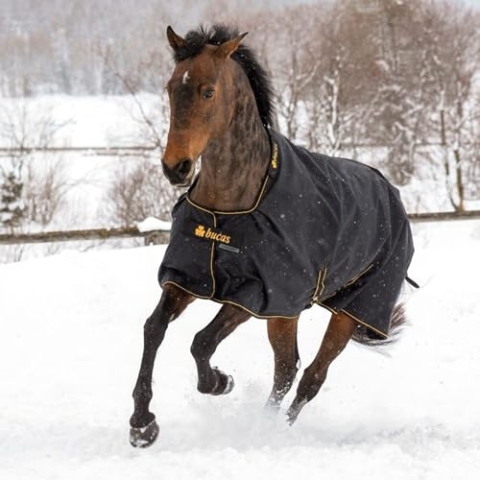 Bucas - Outdoor-Teppich Irish Turnout 0 g