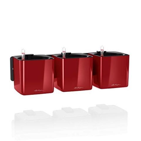 LECHUZA CUBE Glossy Green Wall Home Kit scarlet rot highgloss 13525