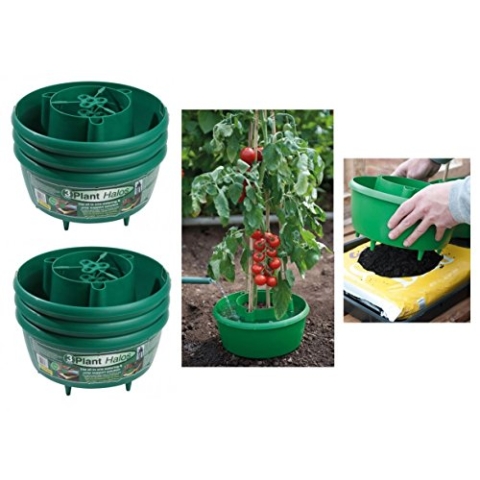 Plant Halos Pflanztöpfe zum Einpflanzen von Gartenpflanzen, erleichtern die Bewässerung und lassen Pflanzen sprießen, 6 Stück