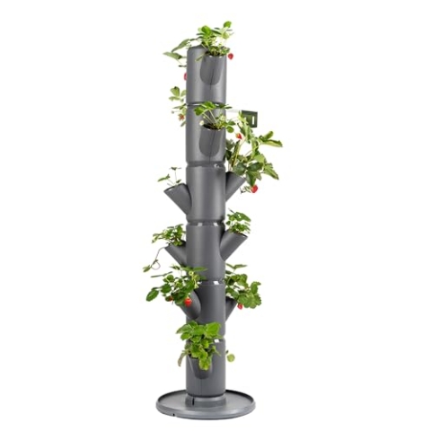 Gusta Garden Sissi Strawberry Erdbeerbaum Classic Anthrazit - Hochbeet System Erdbeeren mit Wandhalterung - Garten & Balkon - 113 cm - 15L Erdvolumen