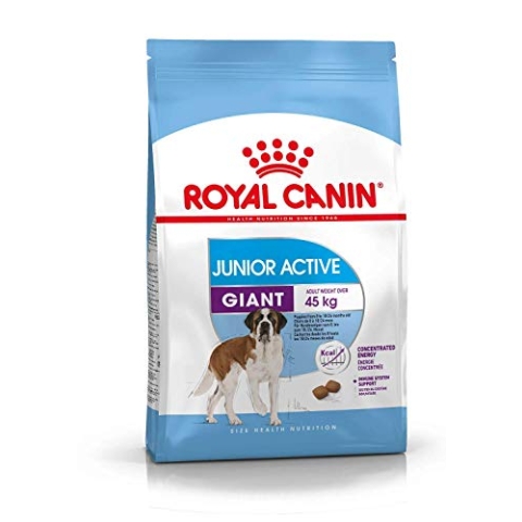 Royal Canin Hundefutter Giant Junior Active 15 kg, 1er Pack (1 x 15 kg)