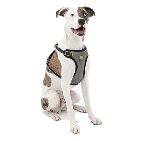Kurgo Impact Hunde-Autogeschirr, Crashtest-geprüft für mehr Sicherheit, Für Hunde von 11-23 kg geeignet, Größe M, Schwarz