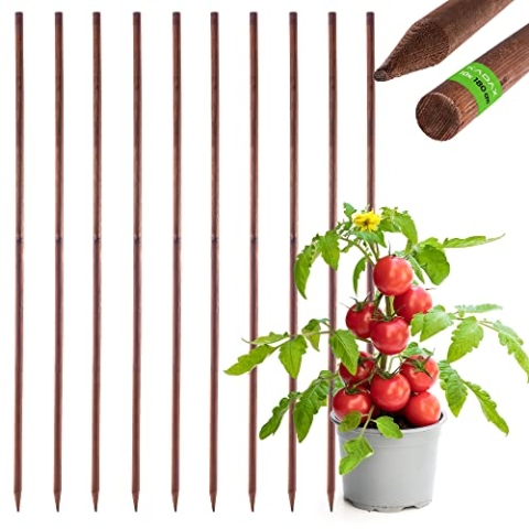 KADAX Rankhilfe aus Holz, imprägnierte Pflanzstäbe, Kletterpflanzen-Stab, wetterfeste Rankstange, Blumenstab, Rankgitter, Holzpflöcke, Pfähle (10, 28mm x 180cm)