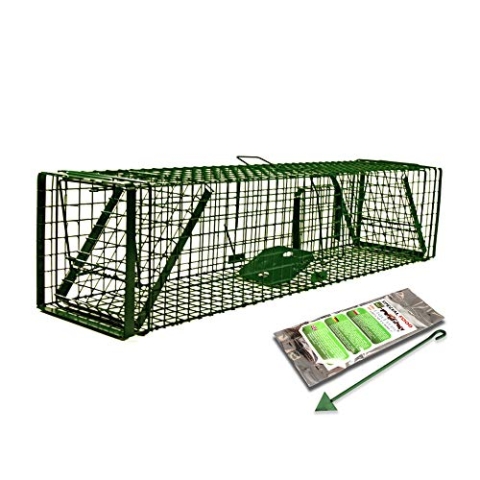 Holtaz Fallen Hardy Grün 130x34x34 cm 2 Türen Marderfalle Katzenfalle Fuchsfalle Biberfalle Tierfalle Kastenfalle Drahtfalle Waschbärfalle Mit Extra Köder
