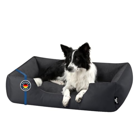 BedDog Hundebett Zara, Hundekissen mit abziehbaren waschbaren Bezug, Hundekorb, Hundesofa, für mittel-große Hunde, L