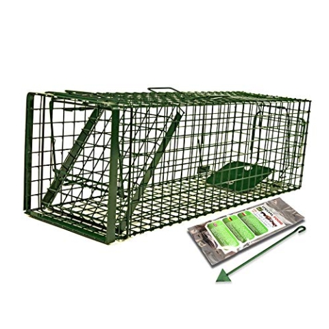Holtaz Fallen Hardy Grün 140x34x42 cm 1 Tür Marderfalle Katzenfalle Fuchsfalle Biberfalle Tierfalle Kastenfalle Drahtfalle Waschbärfalle Mit Extra Köder