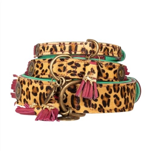 Dog with a Mission - Hundehalsband XS | Leopard, Türkis, Braun | Boho, Ethno, Urban, Hippie | Ideal für kleine Hunde | Handgemacht, Bunt und Modisch Design, Luxe | 2 cm Breit