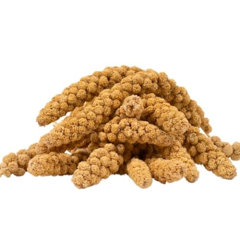 Lyra Pet® | 10 kg Kolbenhirse gelb | Ganzjähriges Vogelfutter für Ziervögel & Wildvögel | Handverlesene gelbe Hirse | Nährstoffreiche, naturbelassene Hirsekolben | Für Wellensittiche & Kanarienvögel