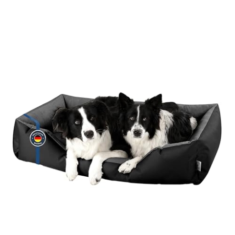 BedDog Hundebett XXL - Hundekissen - Hundekorb - Hundecouch - Hundesofa - Bezug abziehbar, Waschbar, für Mittel-Große Hunde