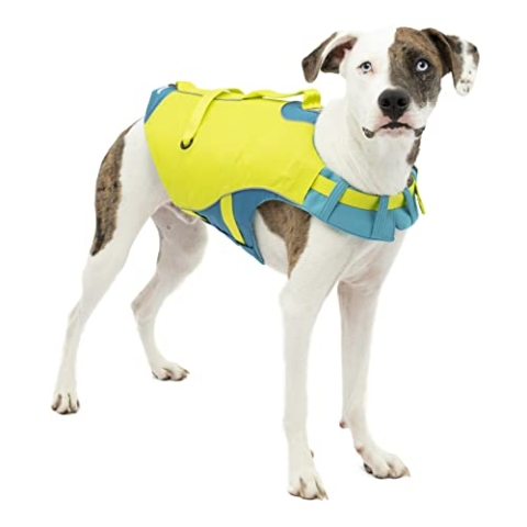 Kurgo Surf n' Turf Hundeschwimmweste, Hundeschwimmweste zum Schwimmen, Schwimmwesten für Hunde, Hund PFD, reflektierend, verstellbar, Blau/Grün, Small