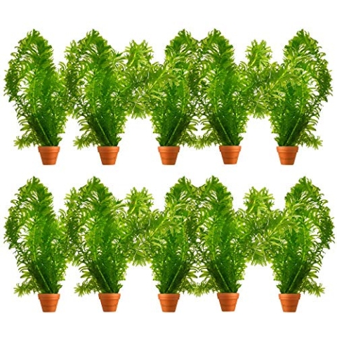 vdvelde.com - Waterpest - 10 stuks - Elodea Densa - • Zuurstofplant• Volgroeide hoogte: 60 cm• Plaatsing: los in het water