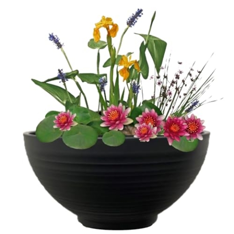 vdvelde.com - Mini Vijver Schaal met Planten Set - Rood - • Complete set• 15 planten• Kunststof schaal Ø 40 x H 20 cm