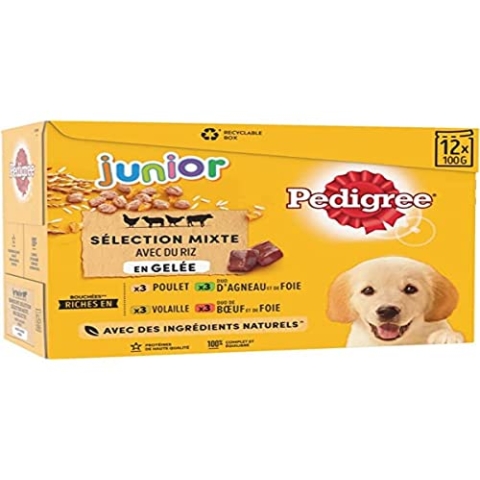 Pedigree Junior Selection Gelee Frischebeutel - Junior Hundefutter - 4 Verschiedene Geschmacksrichtungen - 48 Beutel à 100g