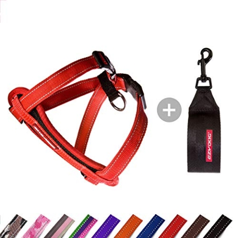 EzyDog Hundegeschirr Auto mit Sicherheitsgurt, Brustgeschirr Hund, Sicherheitsgeschirr Hund, 'Chest Plate' Geschirr für Kleine, Mittelgroße und Große Hunde, Reflektierend, Gepolstert (M, Rot)