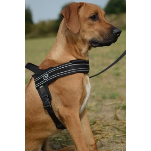 Tre Ponti TP1010 Geschirr für große Hunde Schwarz M