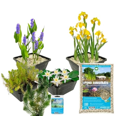 vdvelde.com - Teichpflanzen Set Weiß Winterhart - 19er Set Wasserpflanzen - Für Teiche mit 100-500 liter Wasser - Inklusive Pflanzkorbe, Teichsubstrat und Teichbakterien