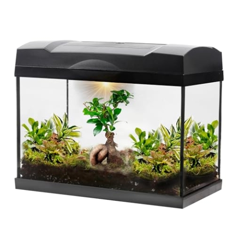vdvelde.com - Dschungel Bonsai Mega Terrarium - - 1 Bonsai + 5 Grünpflanzen- Abmessungen: 39x21x31 cm- Netzgebundene Beleuchtung