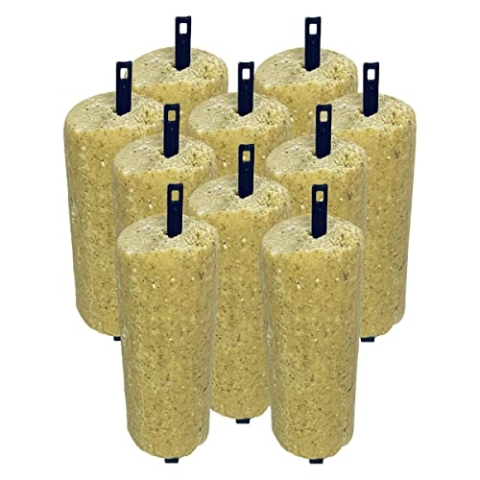 ANICULIS - VEGAN Energiekuchen für Wildvögel mit Erdnüssen, Wildvogelfutter, Premium-Qualität - ohne tierischen Produkte, ohne Palmöl - Multipack (10 x 440g)