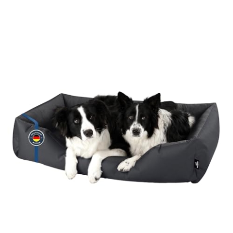 BedDog Hundebett Zara, Hundekissen mit abziehbaren waschbaren Bezug, Hundekorb, Hundesofa, für große Hunde, XXXL