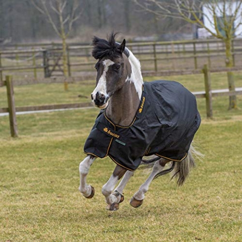 Bucas Irish Turnout Light 50g + Neck Set 1200D - Black/Gold