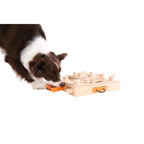 My Intelligent Dogs Turtle Interaktives Hundespielzeug aus Holz Intelligentes Spielzeug für Hunde
