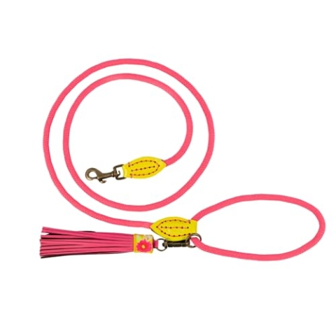 Dog with a Mission - Hundeleine S | Rosa Tauseilleine für kleine Hunde | Robuste Führleine mit Stabiler Karabinerhaken - 155 cm x 1 cm | Polyester & Leder - Leicht und stilvoll | Lotus