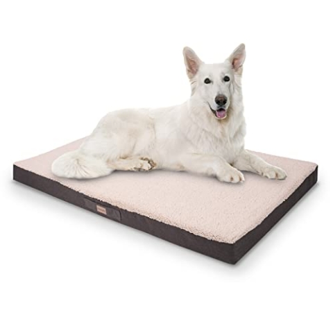brunolie Balu Hundebett in Dunkelbraun, waschbar, orthopädisch und rutschfest, kuscheliges Hundekissen mit atmungsaktivem Memory-Schaum, Größe XXL (120 x 100 x 10 cm) Beige