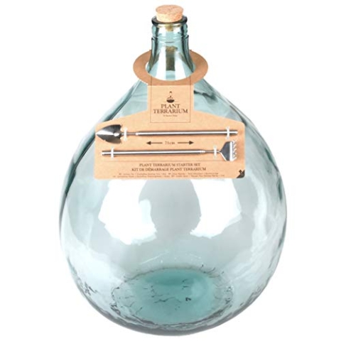 Esschert Design AGG49 Terrarium-Pflanzgefäß mit Werkzeug, groß, Grün