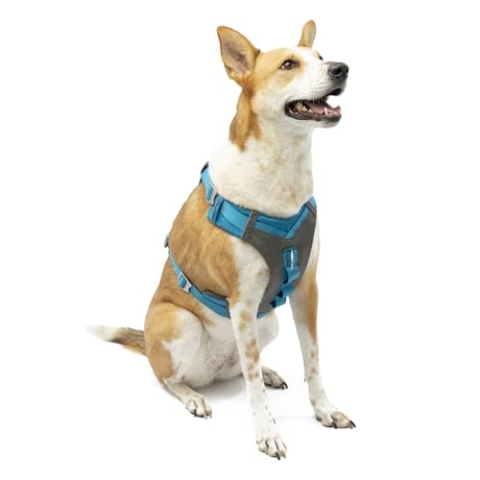 Kurgo Journey Air Hundegeschirr, Mit gepolstertem Brustteil und Rückgriff, Für Hunde von 23-34 kg, Größe L, Blau/Grau
