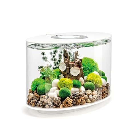 biOrb LOOP 15 LED weiß, 15 Liter - Aquarien-Komplett-Set mit patentiertem Filtersystem, Lichteinheit, Acryl-Becken in elliptischer Form