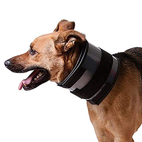 KVP Bissfreies Halsband passend für 27,9-38,1 cm Halsumfang, 6,3 cm Breite