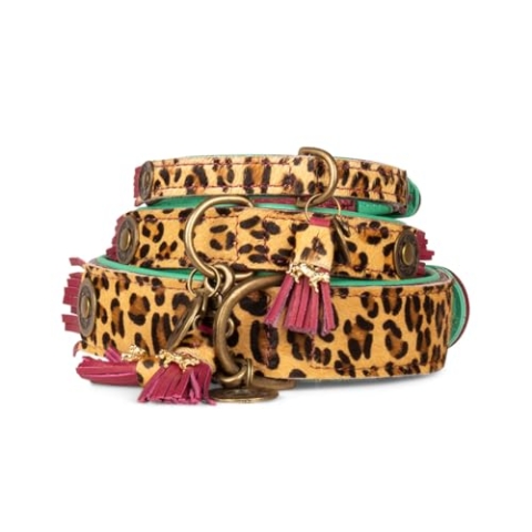 Dog with a Mission - Hundehalsband XXS | Leopard, Türkis, Braun | Boho, Ethno, Urban, Hippie | Ideal für große Hunde | Handgemacht, Bunt und Modisch Design, Luxe | 2 cm Breit