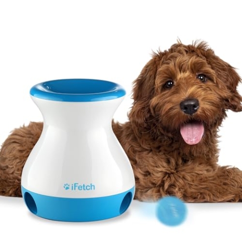 iFetch Frenzy, Mini