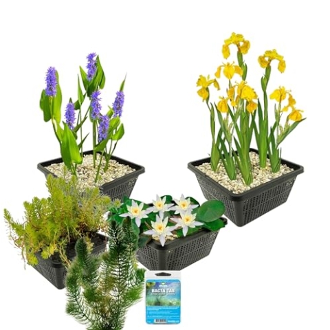 vdvelde.com - Wasserpflanzen Paket Weiß - 19er Set Wasserpflanzen, Winterhart - Für Kleine Teich 100-500 liter Wasser - Inklusive Teichkörbe, Teichpflanzenerde und Dünger