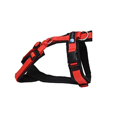 anny-x Brustgeschirr Fun schwarz rot - Gr. XS