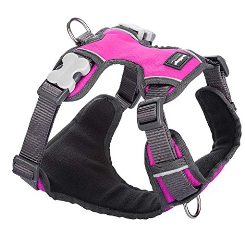 Red Dingo DH-PH-HP-ME Hundegeschirr, gepolstert, Größe M, Hot Pink
