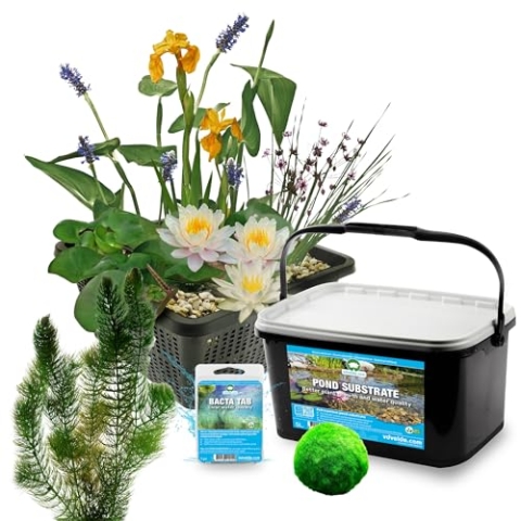 vdvelde.com - Mini Teichset - Weiß + Sauerstoffpflanzen gegen Algen - 11 pflanzen für 25-90 L - Schafft einen wartungsfreien Teich - Platzierung: -10 bis -20 cm