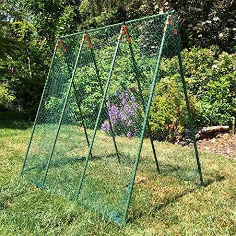 Gardenskill Rankhilfe für Erbsen, Tomaten, Pflanzenstütze Obelisk Rankgitter Rankhilfen für Kletterpflanzen, Gewächshäus, Schrebergarten, Stabile Pflanzstäbe – 1 m hoch x 1,25 m lang