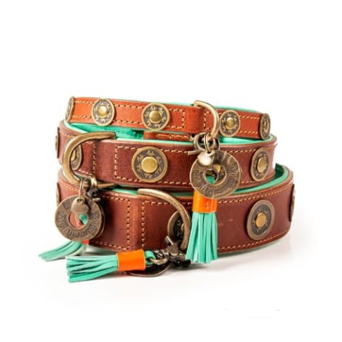 Dog with a Mission - Hundehalsband XS | Braunes Leder, Türkis | Hübsch, Boho, Ethno, Urban, Hippie | Kleine Hunde | Handgemacht | Modisch und Bunt | Aus weichem Echtes Leder | Luxe | 2 cm Breit