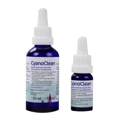 Korallenzucht.de Cyanoclean, 1er Pack (1 x 50 ml)