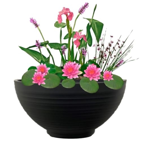 vdvelde.com - Mini Vijver Schaal met Planten Set - Roze - • Complete set• 15 planten• Kunststof schaal Ø 40 x H 20 cm