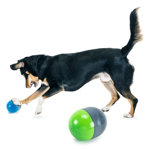 PetSafe Ricochet Elektronische Hundespielzeuge, Jagdspielzeuge mit Tonsignal, 3 AAA-Batterien erforderlich, 2 Stück