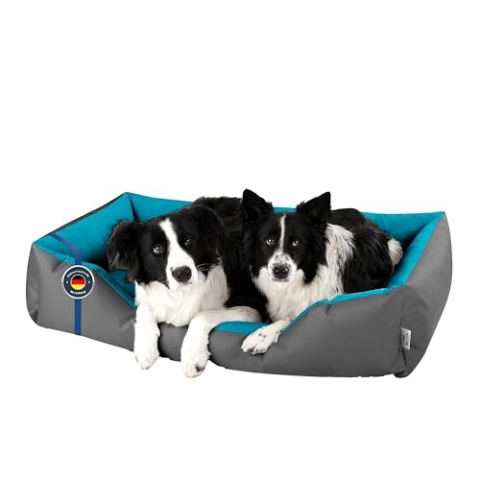 BedDog Hundebett XXL - Hundekissen - Hundekorb - Hundecouch - Hundesofa - Bezug abziehbar, Waschbar, für Mittel-Große Hunde
