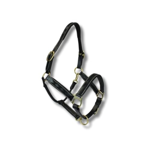 MTB Equestrian Exklusives Lederhalfter Mit Polo-Design – Beidseitig Verstellbar – Hochwertiges Leder – 10 Farbvarianten – Cob & Full (Schwarz, Cob)